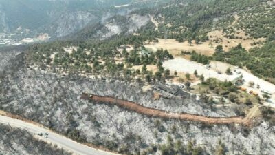 Gürsu’daki yangın faciasında, 80 dönümlük mesire alanı içinde yer alan