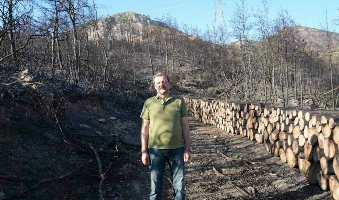 Gürsu’da milli ağaçlandırma gününde kampanya düzenlenecek Bursa’nın Gürsu ilçesinde yaşanan orman yangınına ilişkin açıklama yapan Gürsu