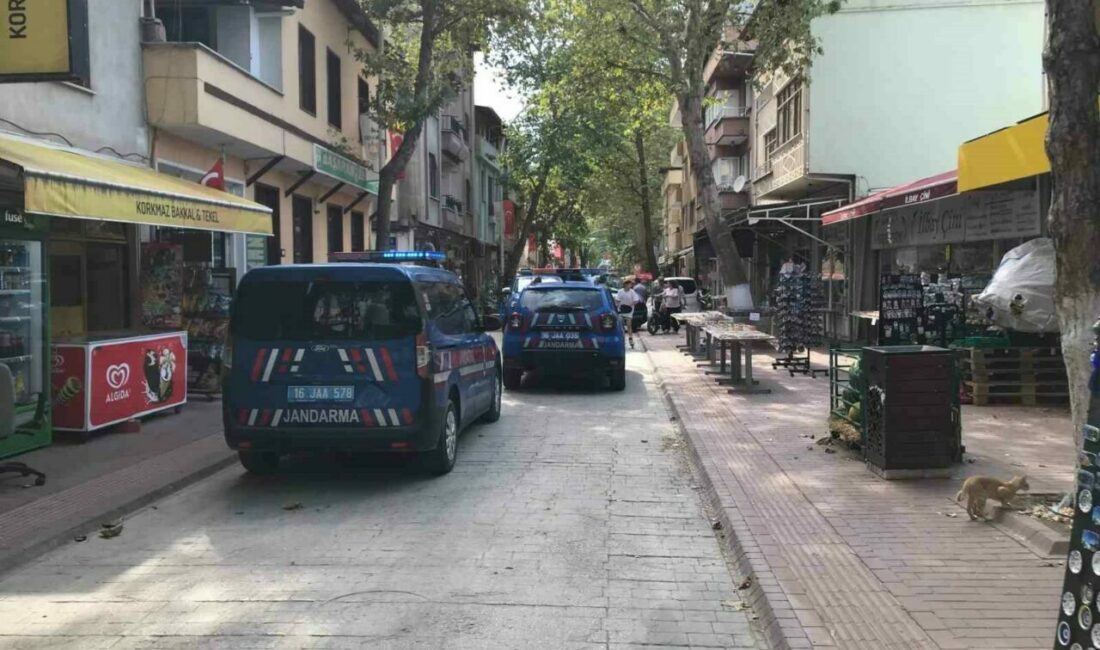 Hediyelik eşyaların arasından tarihi eser çıktı Bursa’nın İznik ilçesinde, bir ihbarı değerlendiren jandarma ekipleri, antika eşya