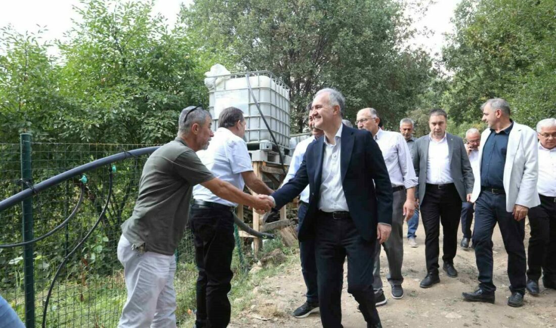 İnegöl bal üretiminde kalitesiyle dikkat çekti İnegöl’de 12 bin koloni ile yapılan bal üretiminde hasat başladı.