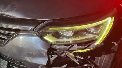 Bursa’nın İnegöl ilçesinde, otomobilin çarptığı yavru ayı telef oldu. Kaza