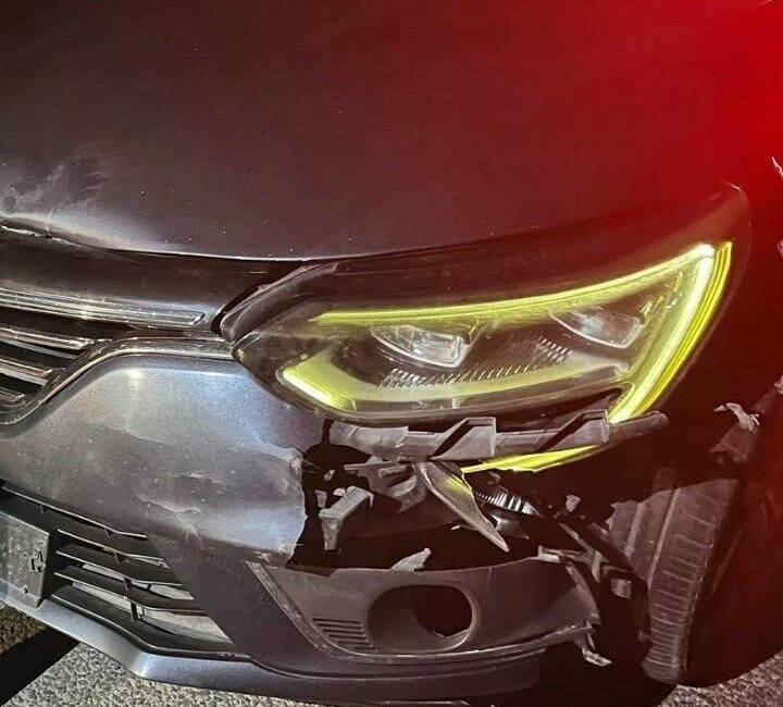 İnegöl’de otomobilin çarptığı ayı telef oldu Bursa’nın İnegöl ilçesinde, otomobilin çarptığı yavru ayı telef oldu. Kaza