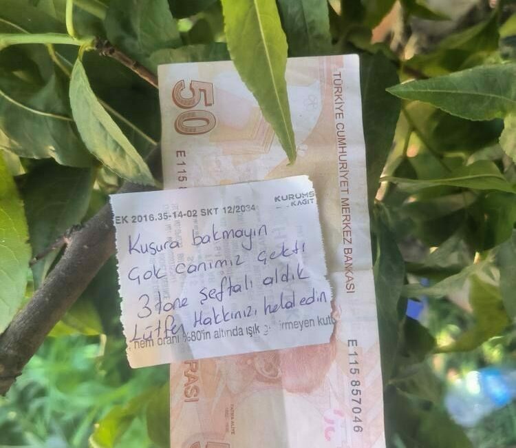 İnsanlık ölmemiş dedirten hareket Bursa’da bir hareket “insanlık ölmemiş” dedirtti. İznik ilçesinde bir şeftali