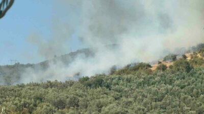 Bursa’nın İznik ilçesinde ormanlık alanda yangın çıktı. Bursa’nın İznik ilçesinin
