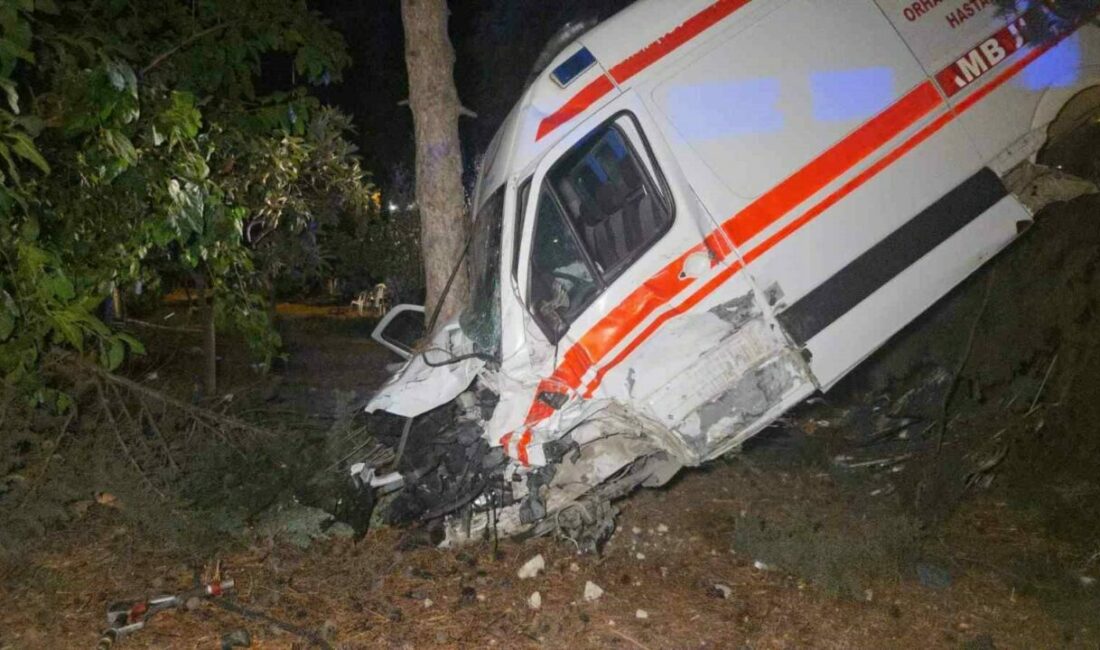 Kamyonetin çarptığı ambulans bahçeye uçtu: 5 yaralı Bursa’nın Orhangazi ilçesinde kamyonetin çarptığı ambulans bahçeye uçtu. Kazada 5