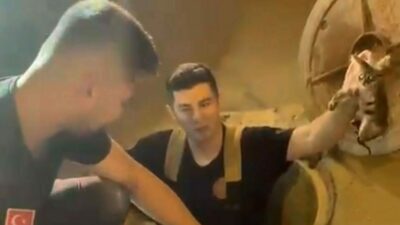 Bursa’da kanalizasyon borusunda mahsur kalan kedi, itfaiye ekiplerinin titiz çalışmasıyla