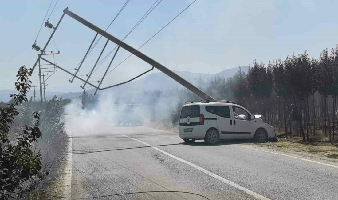 Bursa’nın İnegöl ilçesinde meydana gelen kazada kontrolden çıkan kamyonet, enerji