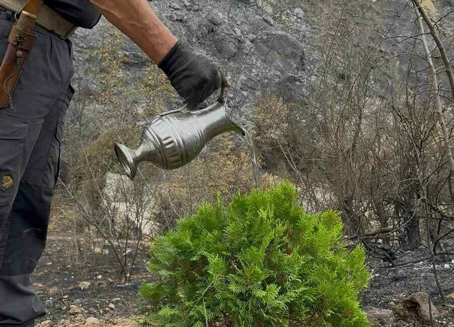 Kül olan topraklara umut ekti Doğada yemek videolarıyla tanınan sosyal medya fenomeni Süleyman Ateştepe, Bursa’da