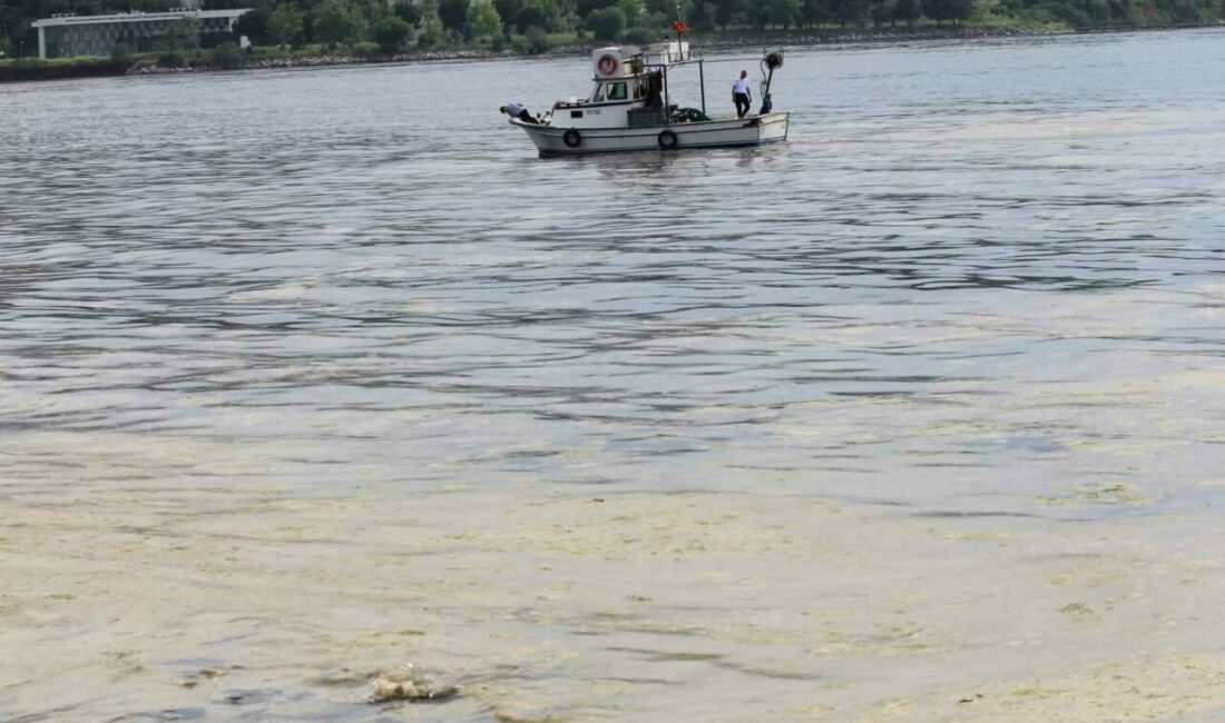 Marmara’nın küçük balıkçılarına “müsilaj” desteği geliyor Tarım ve Orman Bakanlığı Balıkçılık ve Su Ürünleri Genel Müdürü Turgay