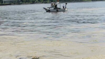 Tarım ve Orman Bakanlığı Balıkçılık ve Su Ürünleri Genel Müdürü Turgay