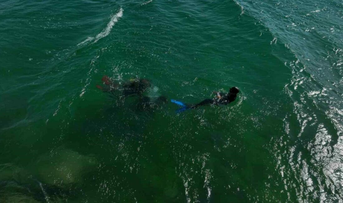 Mehmet Çevik balık adam oldu Ünlü şarkıcı Mehmet Çevik şimdide balık adam oldu. Yeni şarkısına