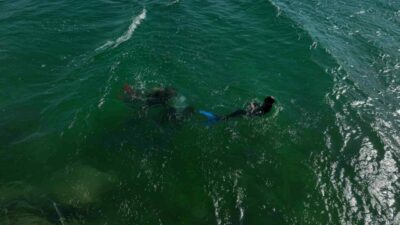 Ünlü şarkıcı Mehmet Çevik şimdide balık adam oldu. Yeni şarkısına