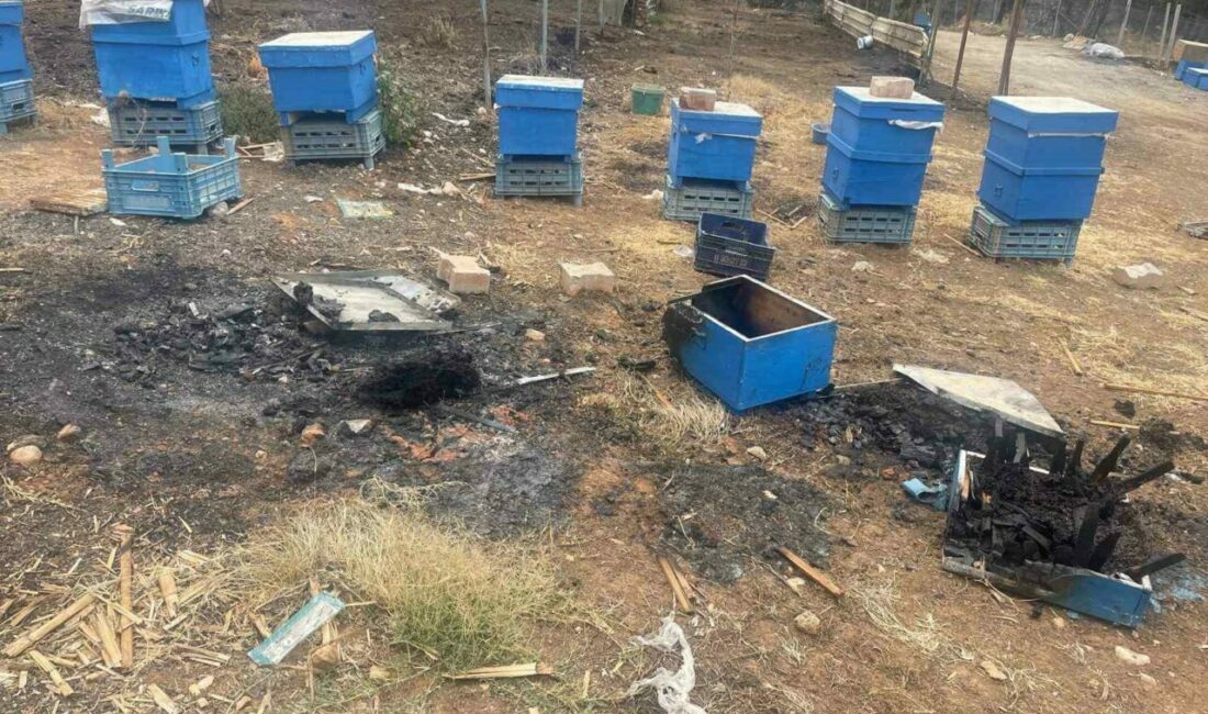 Milyonlarcası ateşe uçtu bir daha geri dönmedi Bursa’nın Gürsu ilçesinde gecenin alevlerle aydınlandığı yangında milyonlarca arı ateşe