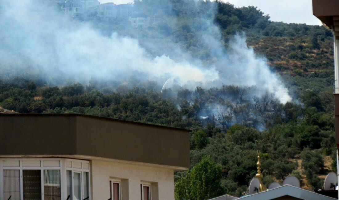 Mudanya Halitpaşa Mahallesin Çepni yolu üzerinde çıkan yangın bölgede bulunan