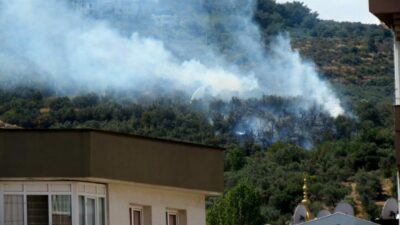 Mudanya Halitpaşa Mahallesin Çepni yolu üzerinde çıkan yangın bölgede bulunan