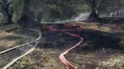 Bursa’nın Mudanya ilçesi Yörükali Mahallesi Kumbağlar bölgesinde çıkan yangın, ekiplerin