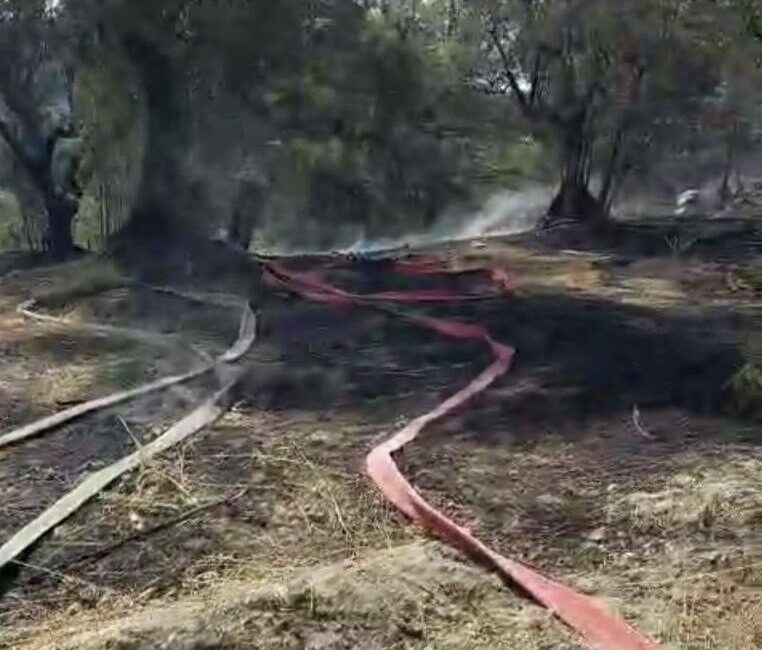Mudanya’da korkutan yangın Bursa’nın Mudanya ilçesi Yörükali Mahallesi Kumbağlar bölgesinde çıkan yangın, ekiplerin