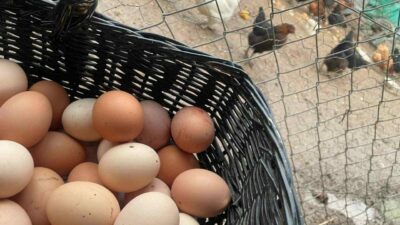 “Mayıs çukuru” denilen talebin azaldığı dönemde marketlerde fiyatı 100 liraya