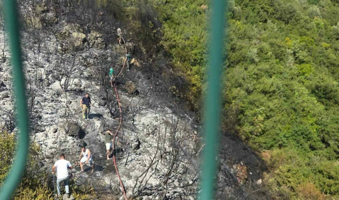 Orhangazi’de orman yangını korkuttu Bursa’nın Orhangazi ilçesinin yüksek kesimlerinde bulunan makilik alanda öğle saatlerinde