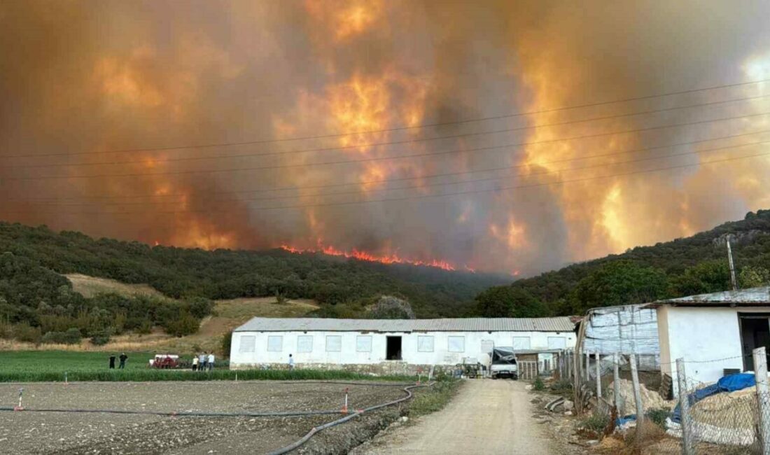 Bursa’nın Yenişehir ilçesinde alevler, rüzgarın da etkisiyle büyümeye devam ediyor.