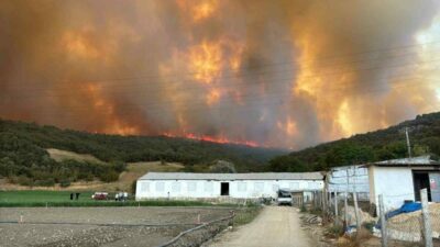 Bursa’nın Yenişehir ilçesinde alevler, rüzgarın da etkisiyle büyümeye devam ediyor.