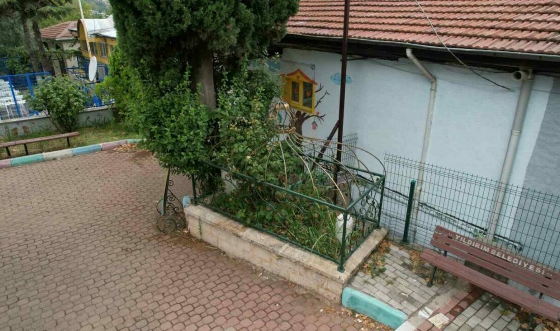 Osmanlı’nın önemli aliminin kabri, yalnızlığa terk edildi Osmanlı döneminin önemli alimlerinden Molla Arap Hazretleri’nin Bursa Yıldırım’daki kabrinin