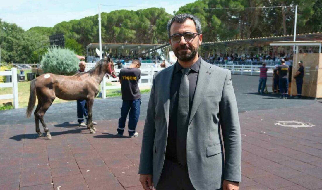 TİGEM tay satışı ve koşulardan bu yıl 500 milyon lira gelir bekliyor Tarım İşletmeleri Genel Müdürlüğü (TİGEM), tay satışları ve koşulardan gelen