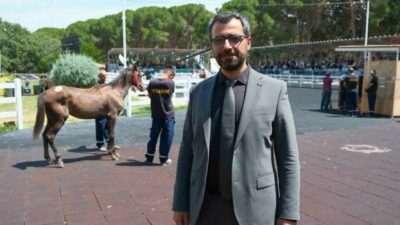 Tarım İşletmeleri Genel Müdürlüğü (TİGEM), tay satışları ve koşulardan gelen