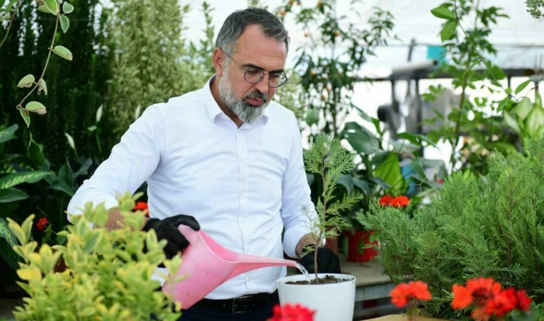 Türkiye’nin süs bitki ihtiyacının yüzde 60’ını karşılayan Kestel, gövde gösterisine hazırlanıyor Bursa’nın tarımsal üretimdeki öncü ilçesi Kestel, 10-13 Eylül 2025 tarihlerinde