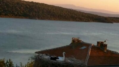 Bursa’nın Karaağaç köyünde, her yıl baharın gelişini müjdeleyen Yaren Leylek,