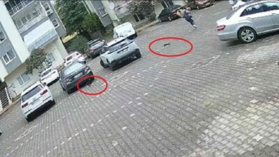 Bursa’da işe gitmek için evden çıkan kadın, karşısında minik kedileri