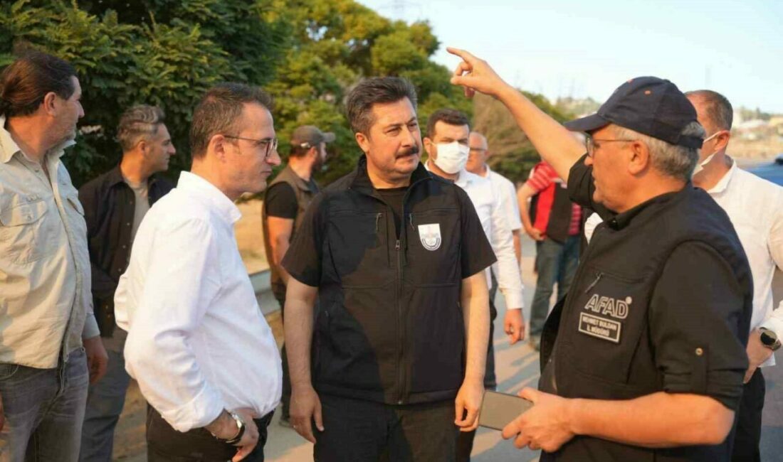 Yenişehir’de 100 hektarlık alan küle döndü Bursa’nın Yenişehir ilçesi Marmaracık Mahallesinde çıkan yangında 100 hektarlık alan