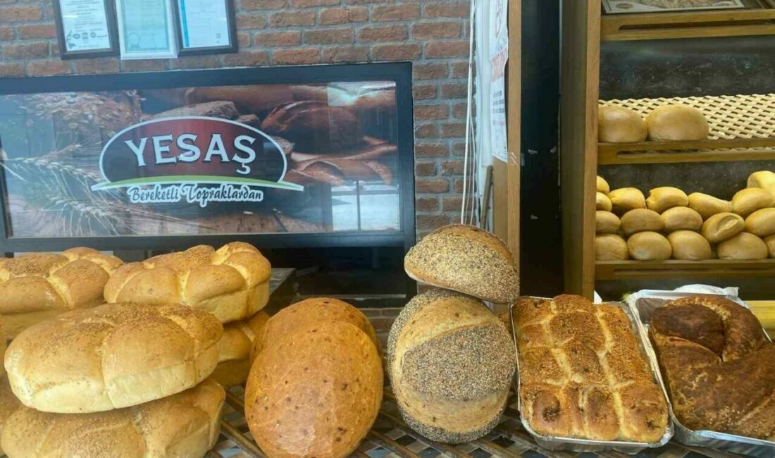 Yenişehir’de domatesli ekmek üretildi Osmanlının ilk başşehri Bursa’nın Yenişehir ilçesinde doğal olarak yetiştirilen domateslerden