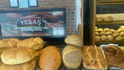 Osmanlının ilk başşehri Bursa’nın Yenişehir ilçesinde doğal olarak yetiştirilen domateslerden