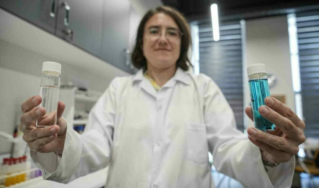 Zehir akan Nilüfer Çayı’nda çözüm organik atık, tekstil atıklarında yüzde yüz sonuç alındı Uludağ’ın güneyinden akan ve Bursa ovasını tek başına besleyen Nilüfer