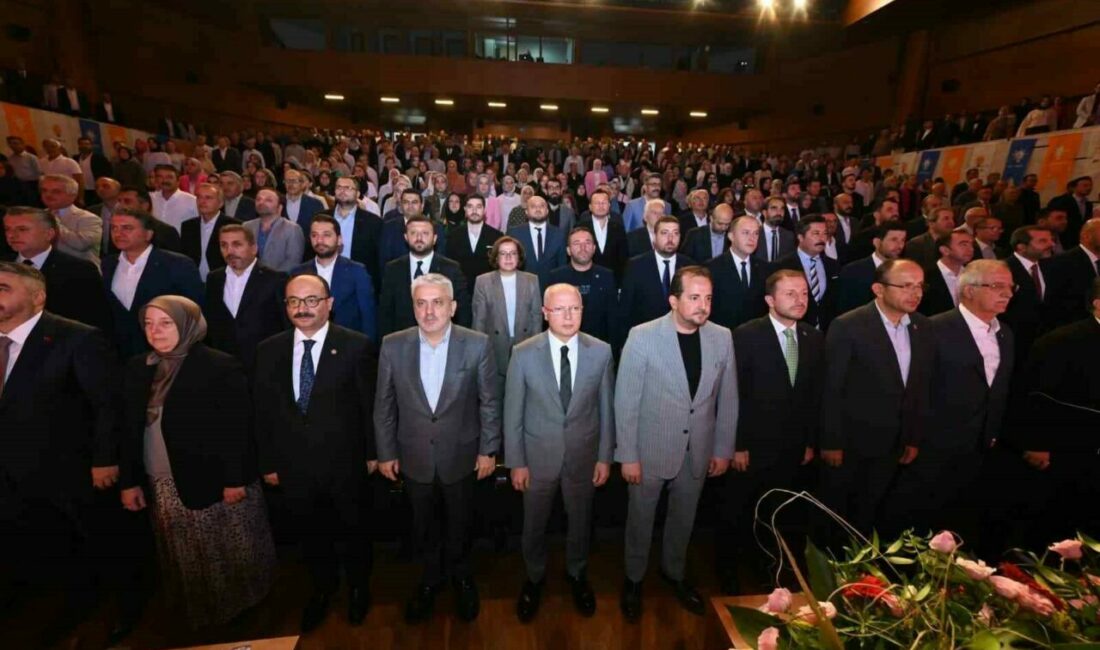 İl danışma meclislerinin teşkilat ruhunu yansıtan en önemli buluşmalar olduğunu