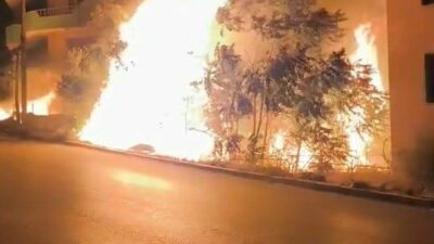 Bursa’nın Gemlik ilçesinde villaların arasında bulunan ağaçlık alandaki alevler, vatandaşlara