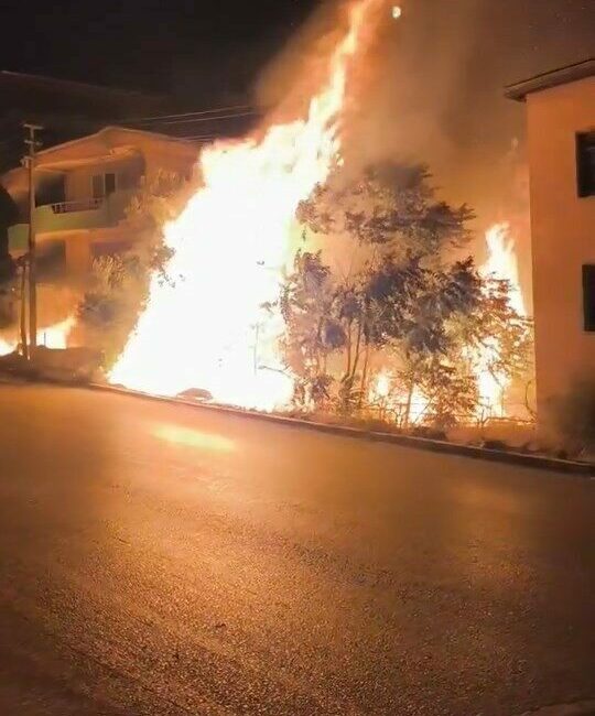 Bursa’da alev alan ağaçlar villaları böyle tehdit etti Bursa’nın Gemlik ilçesinde villaların arasında bulunan ağaçlık alandaki alevler, vatandaşlara