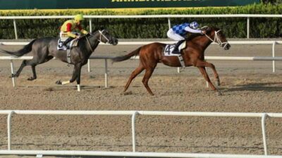 Türkiye Jokey Kulübü (TJK) tarafından Bursa Büyükşehir Belediye Başkanlığı adına