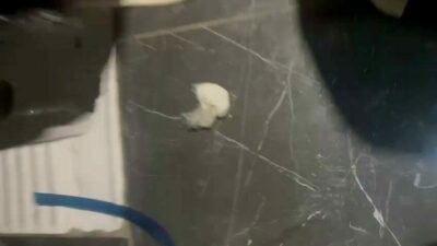 Bursa’da polis ekipleri ile şüpheli şahıs arasında yaşanan kovalamaca kahvehanede