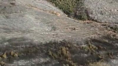 Bursa’nın Karacabey ilçesinde 16 saatlik hummalı çalışmanın sonucunda söndürülen ormanlık