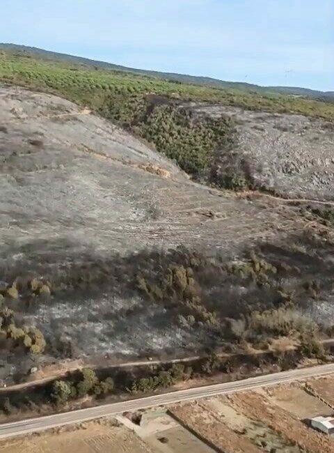 Bursa’da küle dönen ormanlık alan havadan görüntülendi Bursa’nın Karacabey ilçesinde 16 saatlik hummalı çalışmanın sonucunda söndürülen ormanlık