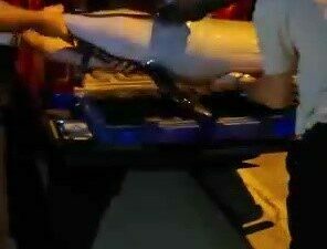 Bursa’da gece saatlerinde ölü yunus balığı kıyıya vurdu. Yunus balığı