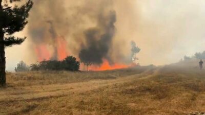 Bursa’nın dağ ilçesi Orhaneli Göynükbelen Mahallesindeki ormanlık alanda yangın itfaiye