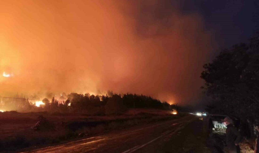 Bursa’nın Karacabey ilçesinde başlayan orman yangını rüzgarın etkisiyle büyüdü. Ekipler