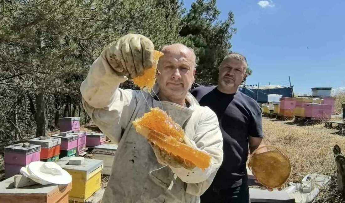 Bursa’da üretilen bu bal her derde deva Bursa’nın İnegöl ilçesinde 50 yıldan bu yana kara kovan bal