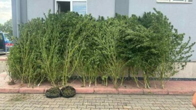 Bursa’nın İnegöl ilçesinde Jandarma komutanlığı ekipleri 2 eve eş zamanlı