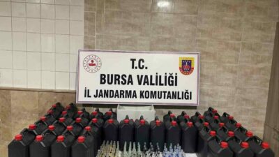Bursa’nın Mudanya ilçesinde jandarma ekiplerince gerçekleştirilen yol emniyet kontrolünde durdurulan