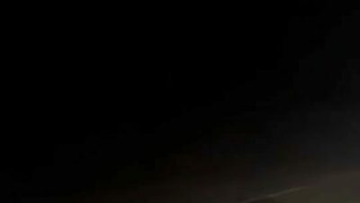 Bursa’da gece saatlerinde yola atlayan domuz sürüsü telef oldu. Telef