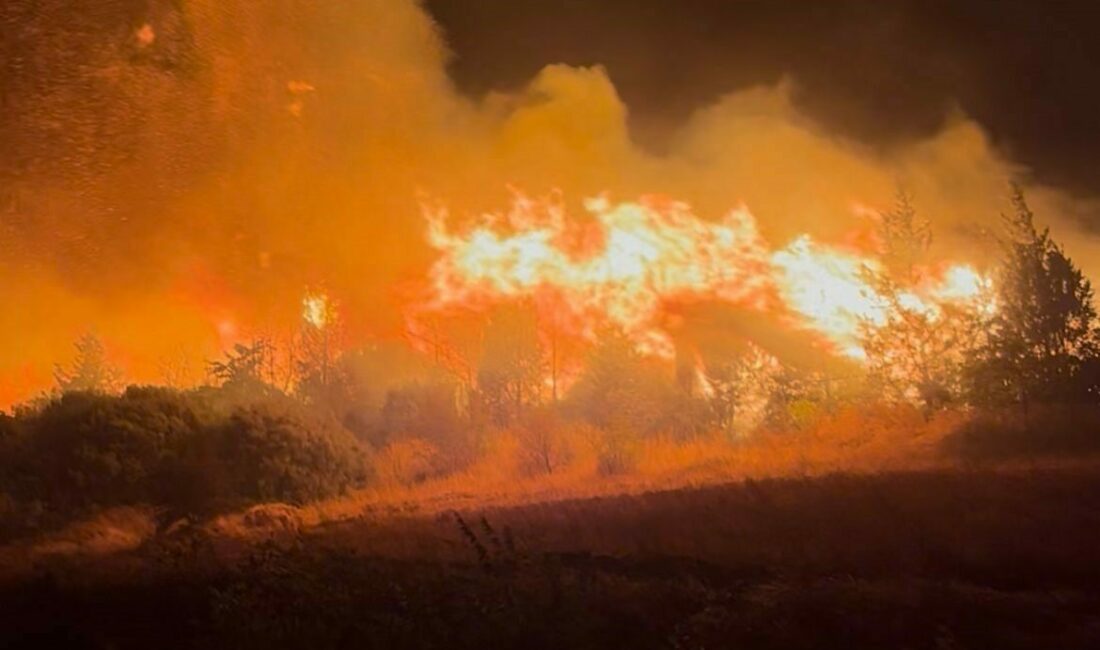 Bursa’daki orman yangını Akçasusurluk köyüne yaklaştı, yerleşim alanları boşaltıldı Bursa’nın Karacabey ilçesinde çıkan orman yangını şiddetli rüzgarın etkisiyle kısa